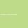 Beliebtes Kunststoff-Hemd